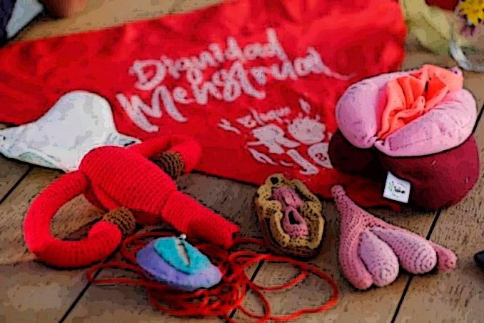 Salud menstrual digna, un reto para el Estado y la sociedad 